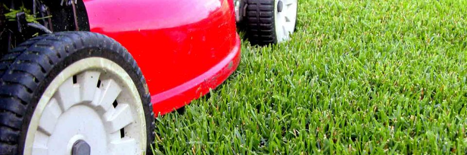 HIGHEST QUALITY 
LAWN MAINTENANCE & CARE 